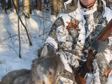wolf hunting in estonia