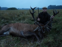 reddeer hunting in estionia