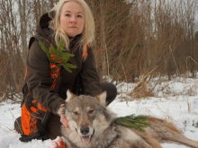 wolf hunting in estonia 2