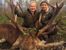 red deer hunt_estonia