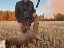 roe buck hunt_estonia